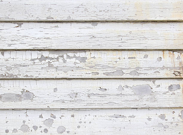 Best Same-Day Junk Removal Services  in Oconto, WI